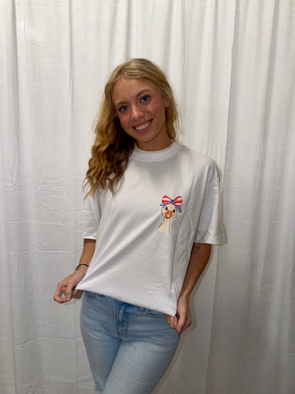 Silly Goose July 4th Tee