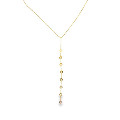 Lariat Charm Necklace